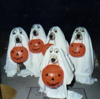 Halloween (O_o)